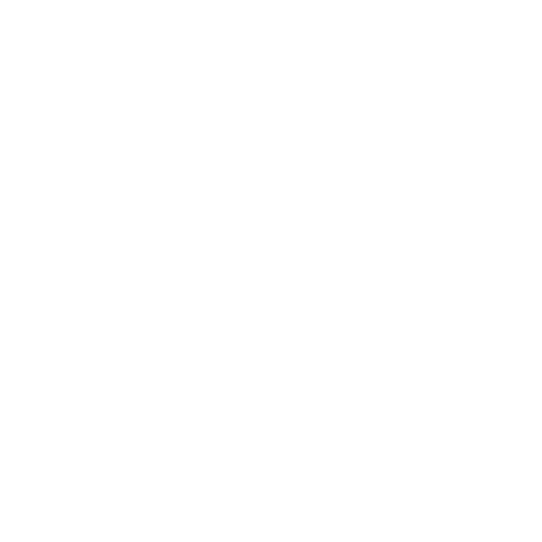 Modulo CRM - custom fields